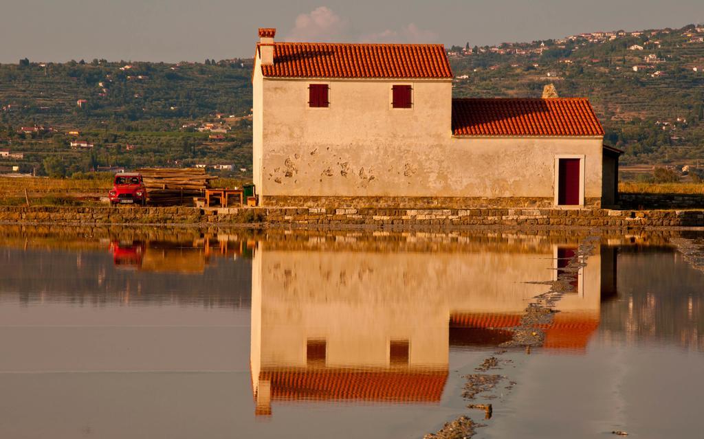 Hostel Piran Zewnętrze zdjęcie